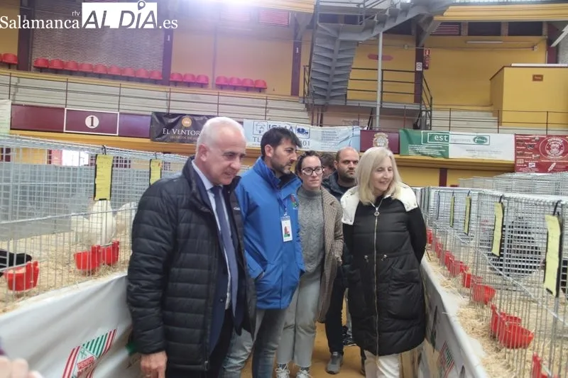 Foto 2 - Arranca el Campeonato Internacional de Avicultura y Colombicultura