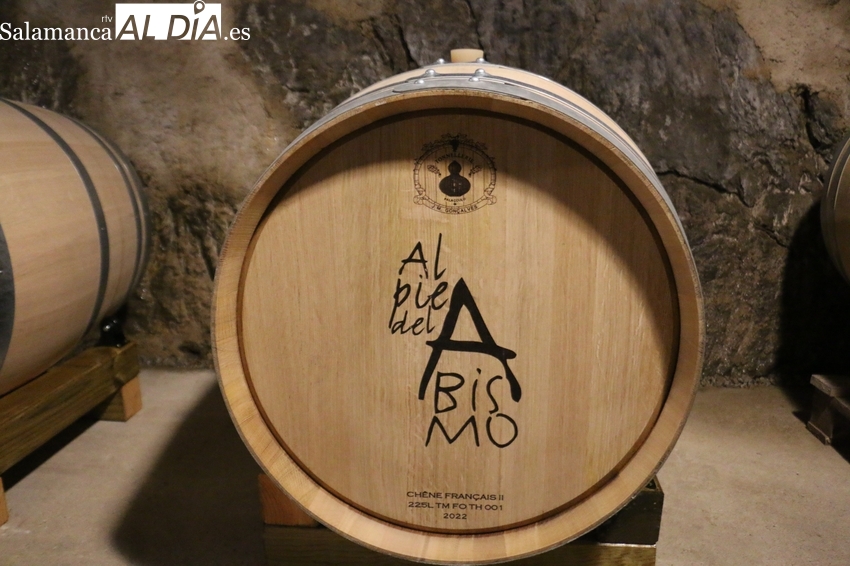 Javier Sendín y Marta Ruano decidieron abandonar la ciudad para dedicarse a la viticultura en Pereña de la Ribera / CORRAL