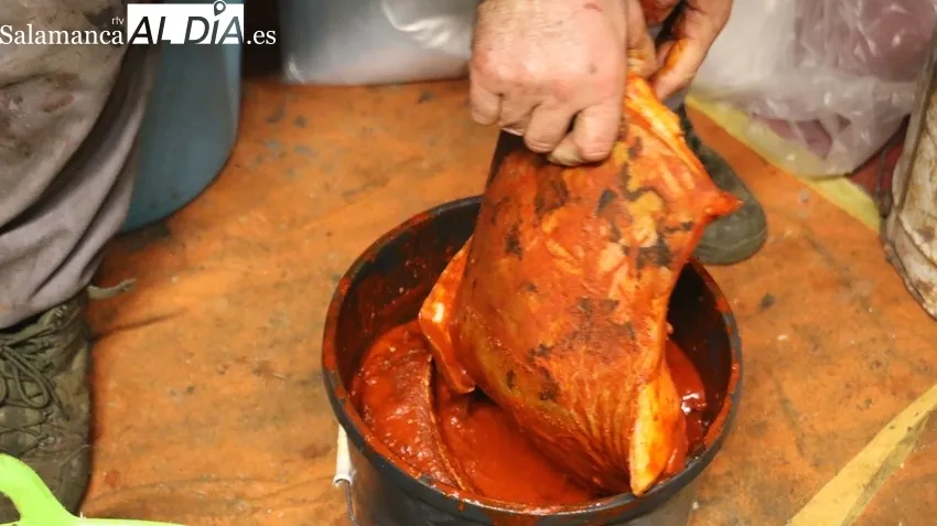 Elaboración de chorizos en la matanza realizada por Juan Campos con el sacrificio de siete cerdos / CORRAL