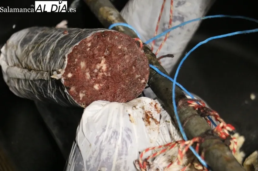 Elaboración de chorizos en la matanza realizada por Juan Campos con el sacrificio de siete cerdos / CORRAL