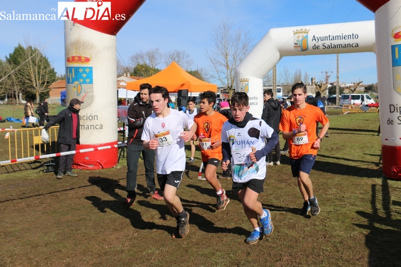 Cerca de 400 pequeños atletas acudieron a Vitigudino en la tercera jornda de Campo a través de la Diputación / CORRAL 