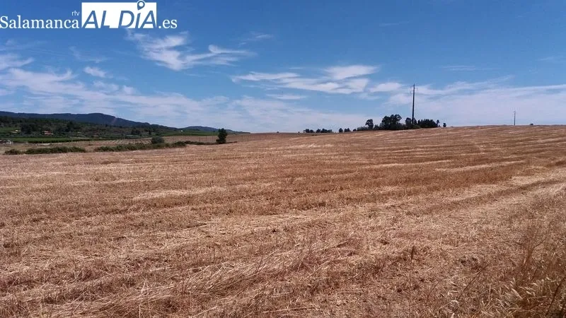 Póvoa de Atalaia y la poesía de Eugénio de Andrade | MARTÍN-GARAY