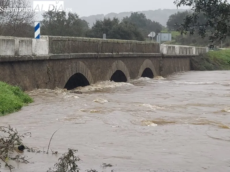Estado que presentaba ayer el río Camaces en Olmedo y daños provocados en las calles del municipio / MANUEL NICOLÁS BOGAZ