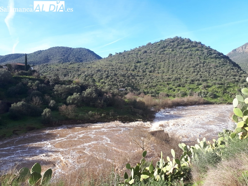 Desmbocadura del río Huebra en el Duero / IMÁGENES MARÍA ÁNGELES PÉREZ  