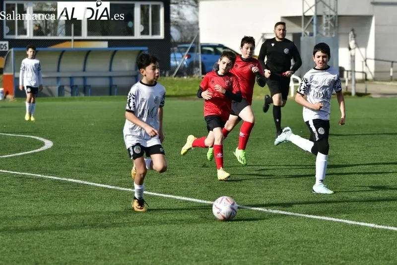 Galería de imágenes del fútbol base / Fotos: SALAMANCArtv AL DÍA