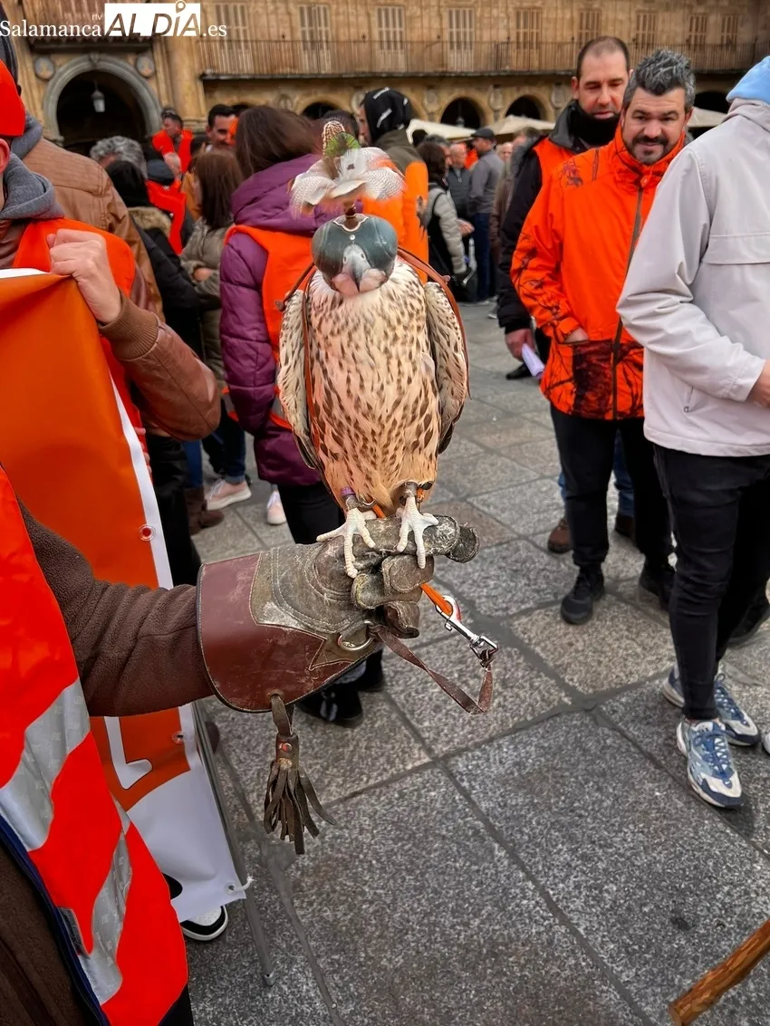Manifestación de cazadores contra la ley animalista y la reforma del Código Penal en Salamanca