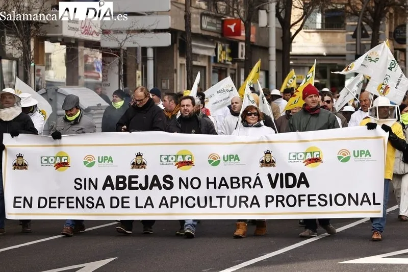 Manifestación de apicultores en Salamanca. Foto de David Sañudo