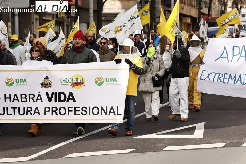 Manifestación de apicultores en Salamanca. Foto de David Sañudo