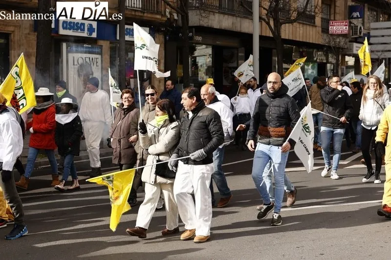 Manifestación de apicultores en Salamanca. Foto de David Sañudo