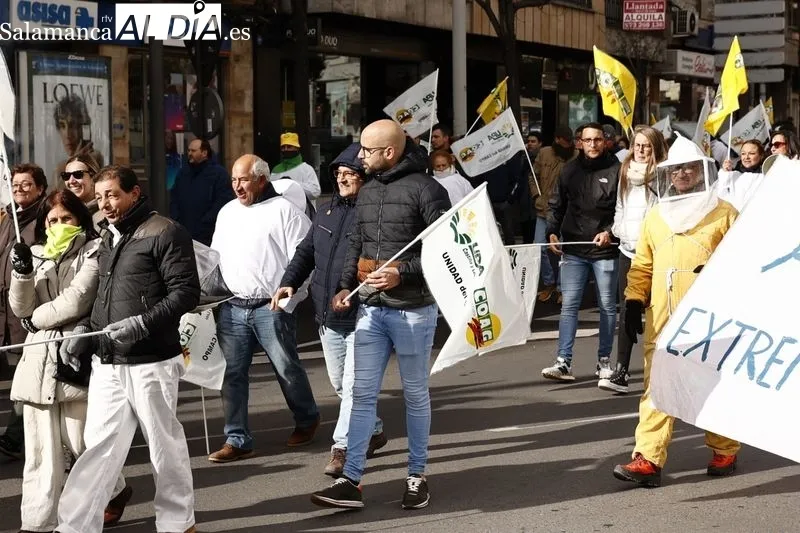 Manifestación de apicultores en Salamanca. Foto de David Sañudo
