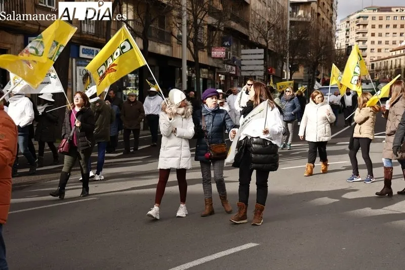 Manifestación de apicultores en Salamanca. Foto de David Sañudo