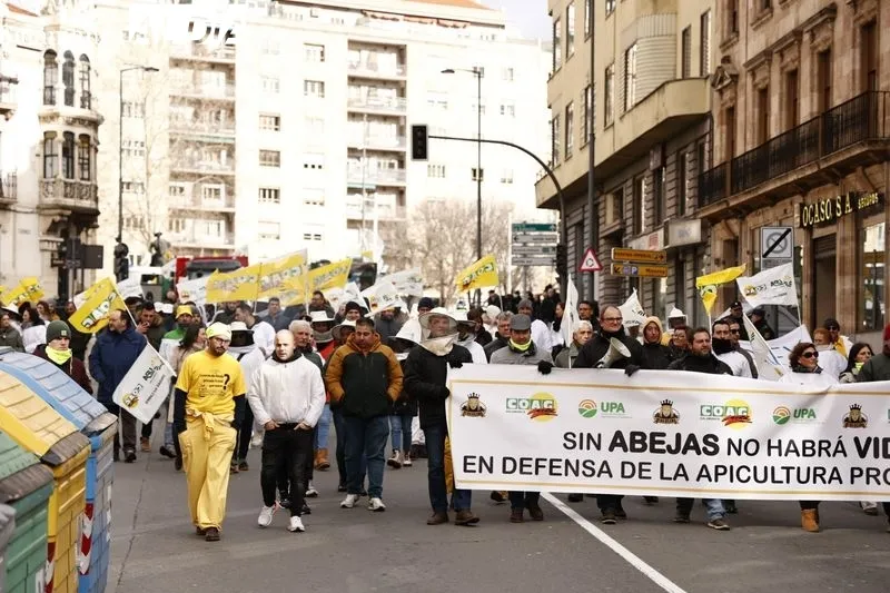 Manifestación de apicultores en Salamanca. Foto de David Sañudo