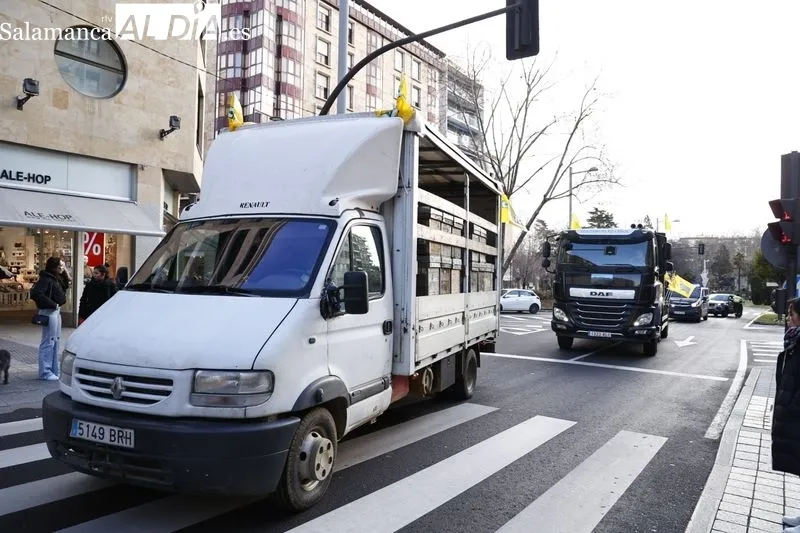 Manifestación de apicultores en Salamanca. Foto de David Sañudo