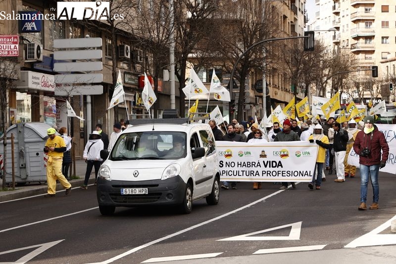 Manifestación de apicultores en Salamanca. Foto de David Sañudo