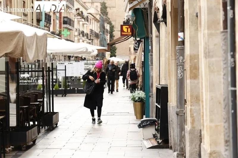 Efectos de las bajas temperaturas en la ciudad de Salamanca. Foto de David Sañudo