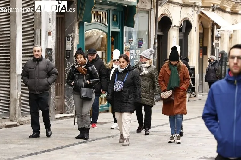 Efectos de las bajas temperaturas en la ciudad de Salamanca. Foto de David Sañudo
