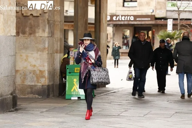Efectos de las bajas temperaturas en la ciudad de Salamanca. Foto de David Sañudo
