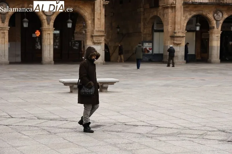 Efectos de las bajas temperaturas en la ciudad de Salamanca. Foto de David Sañudo
