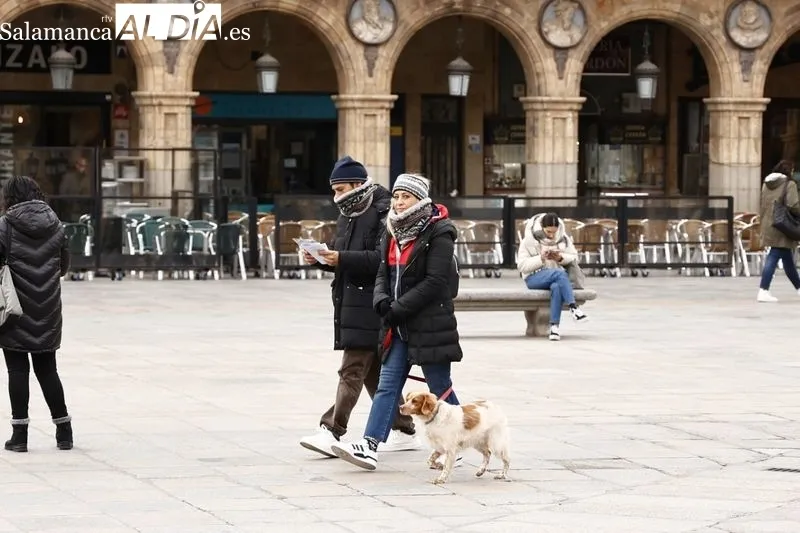 Efectos de las bajas temperaturas en la ciudad de Salamanca. Foto de David Sañudo