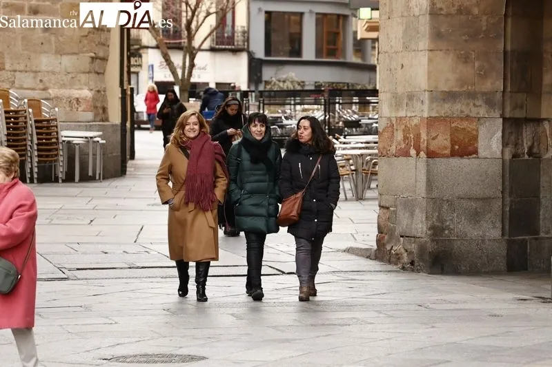 Efectos de las bajas temperaturas en la ciudad de Salamanca. Foto de David Sañudo