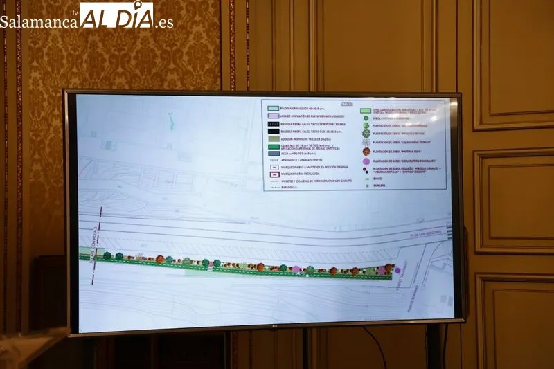 Presentación en el Ayuntamiento del nuevo tramo de carril bici que tendrá Salamanca