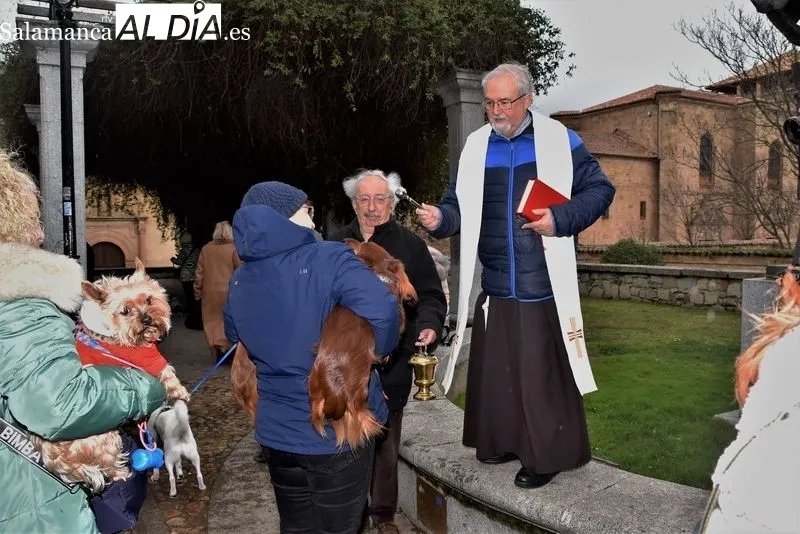 Bendición de los animales en el Campo de San Francisco