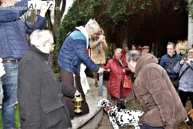 Bendición de los animales en el Campo de San Francisco