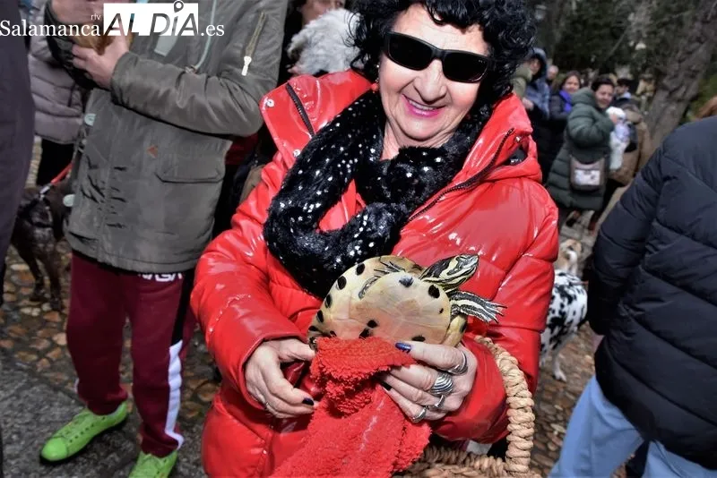 Bendición de los animales en el Campo de San Francisco