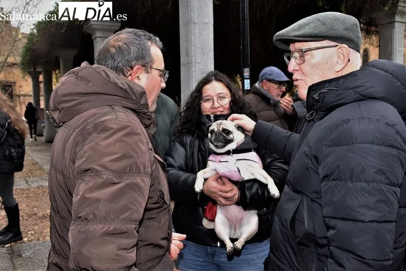 Bendición de los animales en el Campo de San Francisco