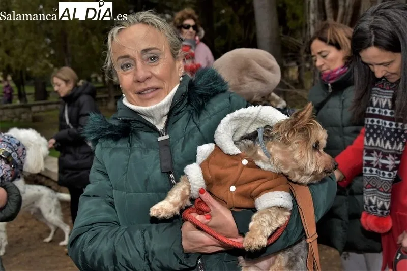 Bendición de los animales en el Campo de San Francisco