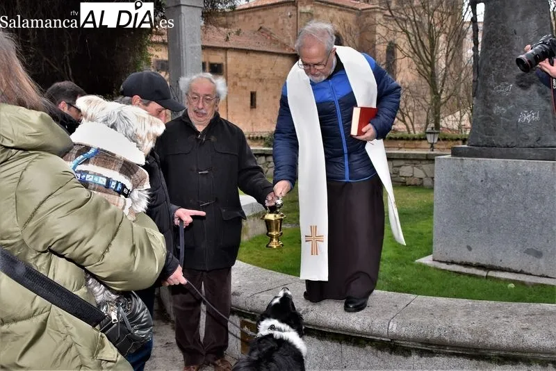 Bendición de los animales en el Campo de San Francisco