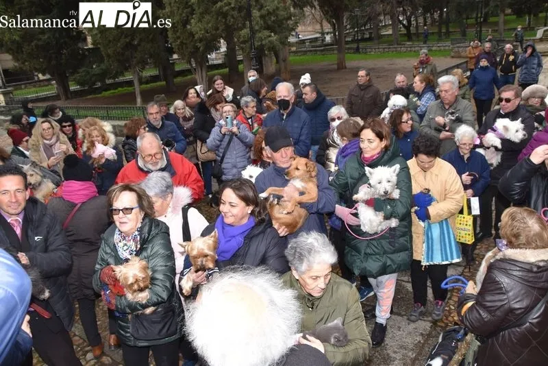 Bendición de los animales en el Campo de San Francisco