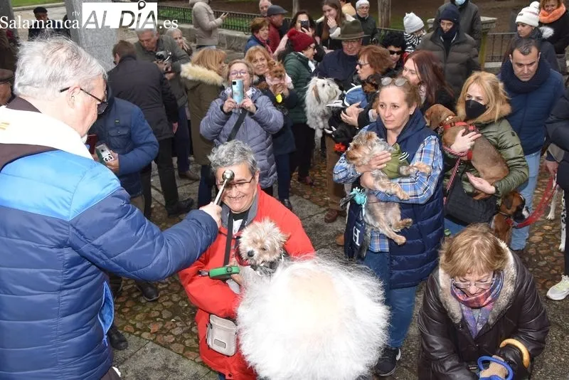 Bendición de los animales en el Campo de San Francisco