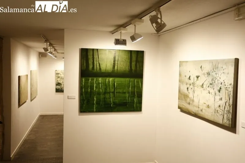 Exposición de la artista zamorana Ana Zaragozá en La Salina. Foto de David Sañudo