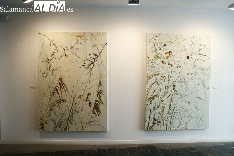 Exposición de la artista zamorana Ana Zaragozá en La Salina. Foto de David Sañudo