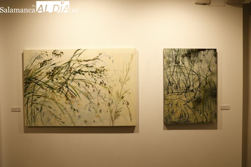 Exposición de la artista zamorana Ana Zaragozá en La Salina. Foto de David Sañudo