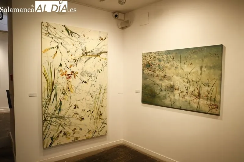 Exposición de la artista zamorana Ana Zaragozá en La Salina. Foto de David Sañudo
