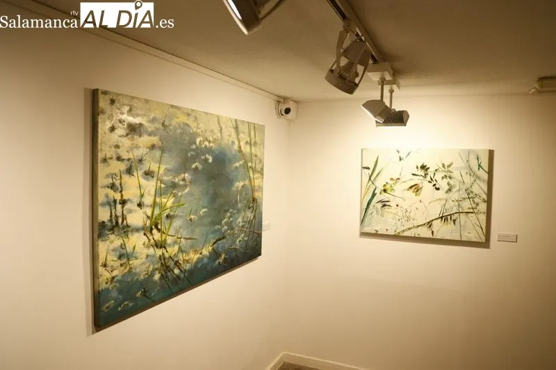 Exposición de la artista zamorana Ana Zaragozá en La Salina. Foto de David Sañudo