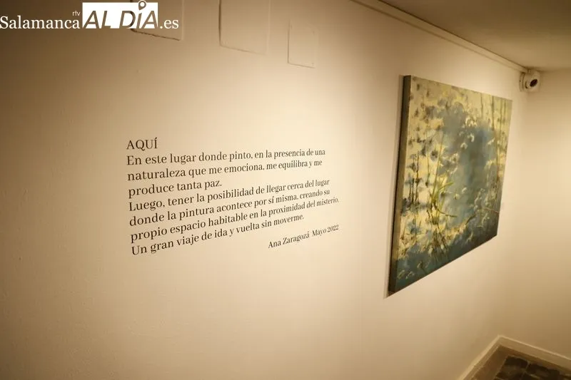 Exposición de la artista zamorana Ana Zaragozá en La Salina. Foto de David Sañudo