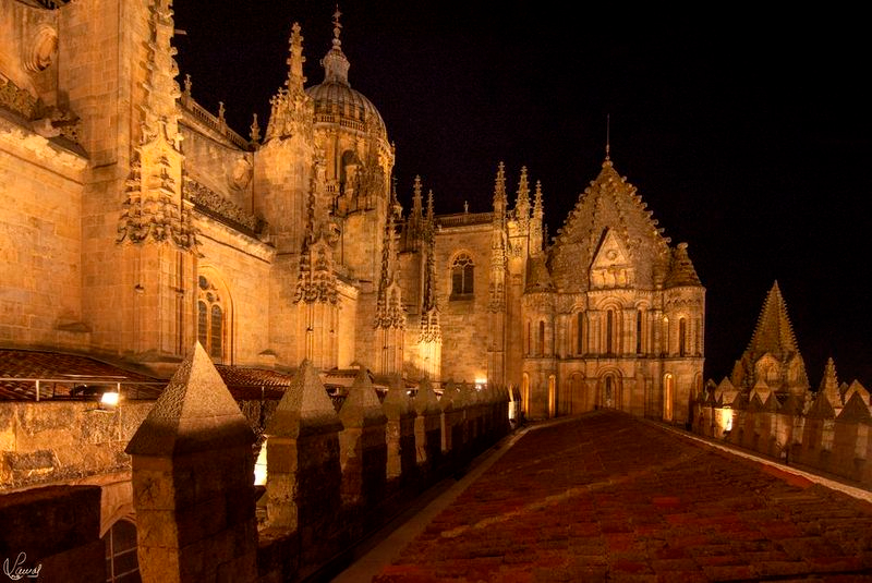 Una de las terrazas de la Catedral de Salamanca que se puede visitar en estos recorridos. Foto Manuel Lamas