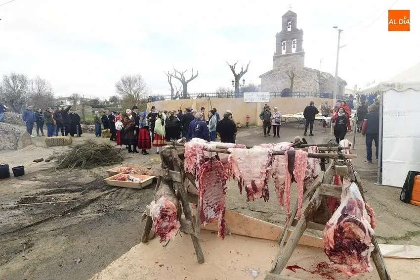Foto 4 - Animada ma&ntilde;ana festiva en torno a la matanza en Saelices el Chico