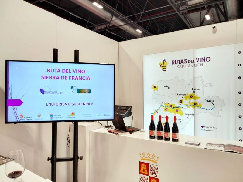 Foto 1 - Los productos enoturísticos de la Ruta del Vino Sierra de Francia se promocionan en FITUR 