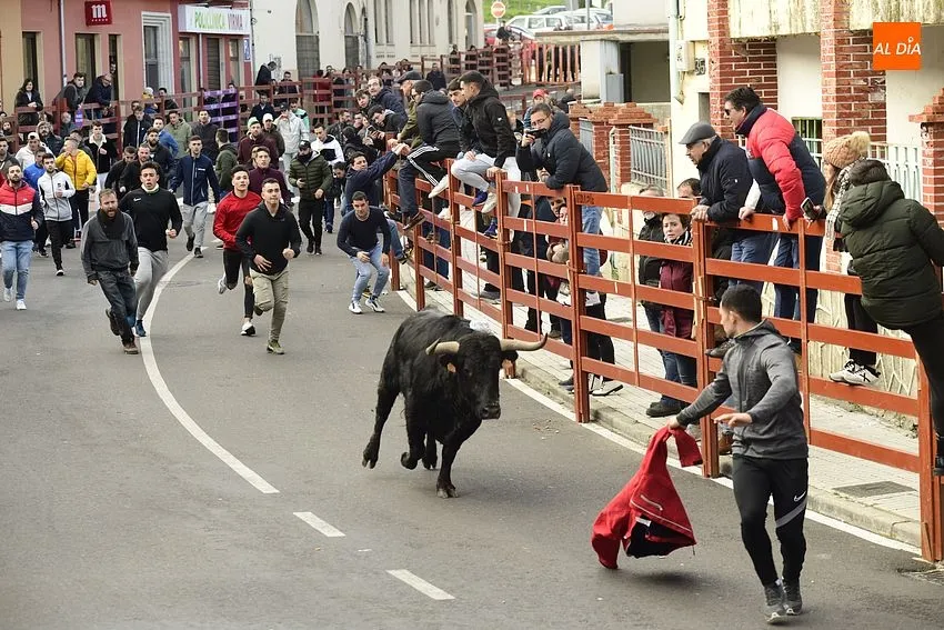 Foto 9 - Regresa con enorme expectaci&oacute;n el calentamiento taurino precarnavalero de Ciudad Rodrigo