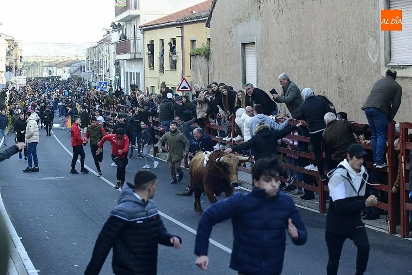 Foto 3 - Regresa con enorme expectaci&oacute;n el calentamiento taurino precarnavalero de Ciudad Rodrigo
