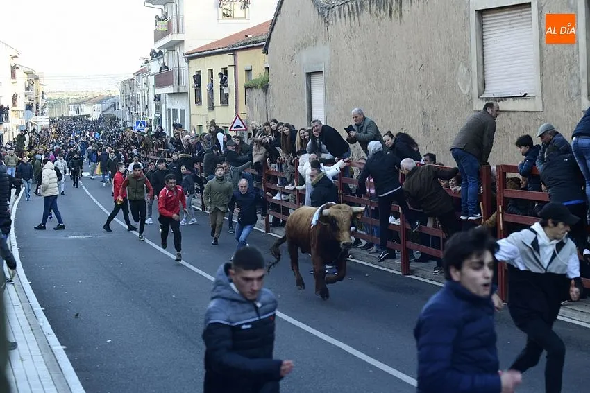 Foto 2 - Regresa con enorme expectaci&oacute;n el calentamiento taurino precarnavalero de Ciudad Rodrigo