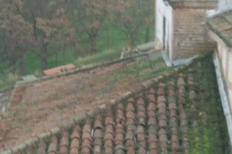 Imágenes de la Ermita de San Luis. PP 