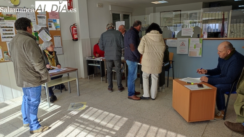Mesa electoral de Vitigudino / CORRAL 