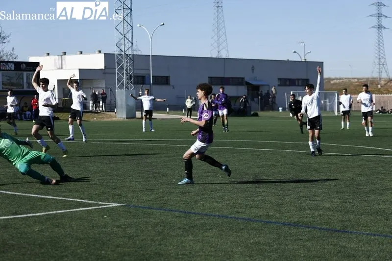 Galería de imágenes del fin de semana / Fotos: SALAMANCArtv AL DÍA y David Sañudo