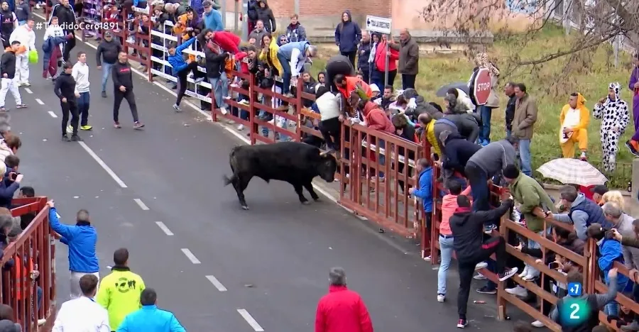 Foto 3 - &lsquo;Tendido Cero&rsquo; dedica un largo reportaje al Carnaval del Toro