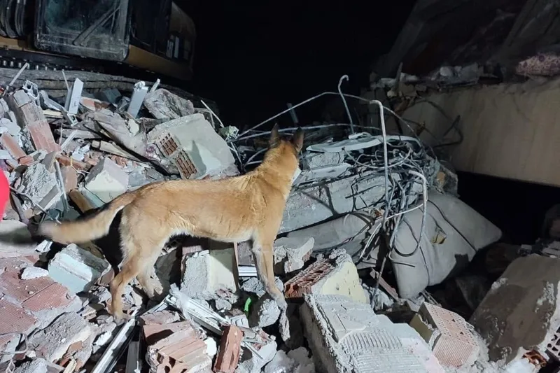 Foto 2 - El bombero salmantino que vive pendiente de una llamada para unirse a los rescates en Turquia